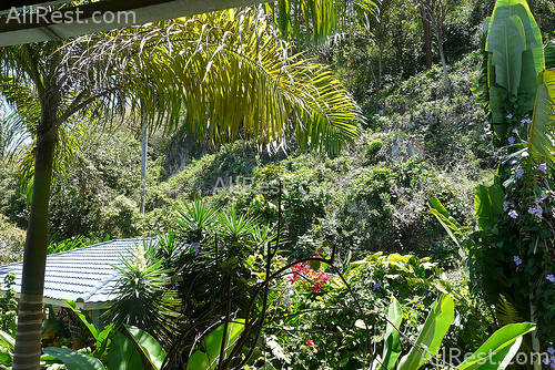 Doctors Cave Beach Hotel 12
